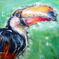 /album/animaux/t75-toucan-600x600-jpg2/